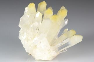 3" Mango Quartz Crystal Cluster - Cabiche, Colombia - Crystal #188367