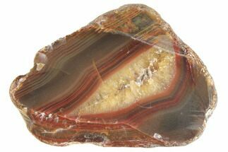 2.2" Polished Banded Lake Superior Agate - Minnesota - Crystal #189403
