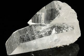 7.35" Striated Colombian Quartz Crystal Cluster - Peña Blanca Mine - Crystal #189742