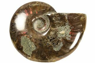 Red Flash Ammonite Fossil - Madagascar #187305