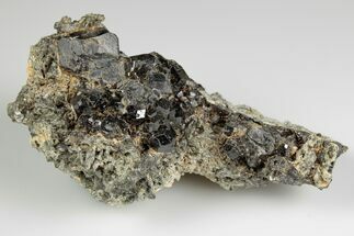 3.6" Lustrous Black-Brown Garnet Cluster - Mexico - Crystal #190811