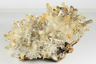 8.1" Incredible Mango Quartz Crystal Cluster - Cabiche, Colombia - Crystal #188380