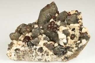 3.2" Spessartine Garnets With Smoky Quartz On Feldspar - China - Crystal #191542