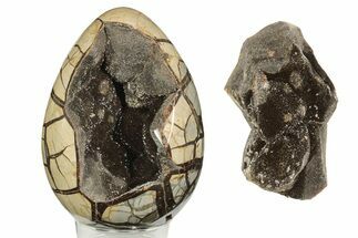 Polished Septarian Dragon Egg Geode - Removable Section #191395