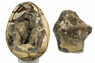 Polished Septarian Dragon Egg Geode ( lbs) #191459