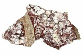 8.7" Polished Wild Horse Magnesite Slab - Arizona - Crystal #192815