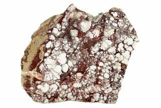 7.4" Polished Wild Horse Magnesite Slab - Arizona - Crystal #192850