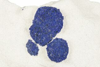 Vibrant Blue Azurite Suns on Siltstone - Australia - Crystal #188499