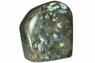 6.85" Flashy, Polished Labradorite Free Form - Madagascar - Crystal #182245