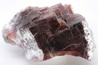 Rare, Red Villiaumite Crystal Section - Murmansk Oblast, Russia #195322