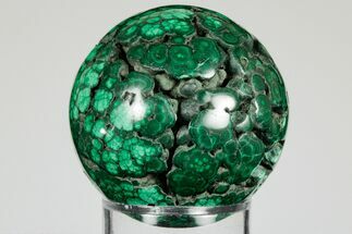 1.8" Flowery, Polished Malachite Sphere - Congo - Crystal #193448