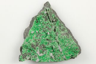 Green Uvarovite (Garnet Group) Cluster - Russia #195627