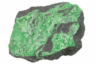 Green Uvarovite (Garnet Group) Cluster - Russia #195595