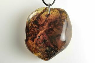 Polished Chiapas Amber ( grams) Necklace - Mexico #197966