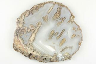 Polished Moss Agate Slab w/ Waterline Agate - Mexico #198168