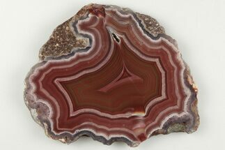 3.3" Polished Laguna Agate Slice - Mexico - Crystal #198134