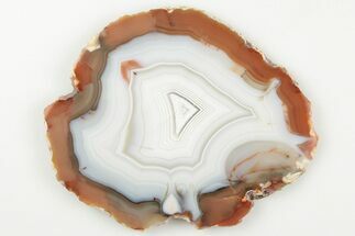2.8" Polished Banded Agate Slice - Mexico - Crystal #198189