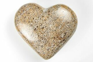 2.1" Polished Dinosaur Bone (Gembone) Heart - Morocco - Fossil #198463