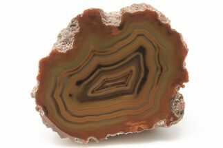2.7" Colorful, Polished Condor Agate - Argentina  - Crystal #198572