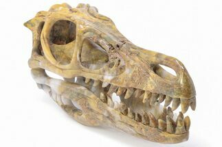 Carved Pietersite and Quartz Crystal Dinosaur Skull #199472