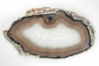 7.3" Polished Brazilian Agate Slice - Crystal #199347