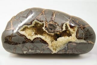 Polished, Crystal Filled Septarian Geode - Utah #200207
