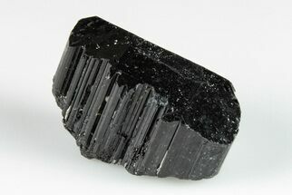 1.2" Terminated Black Tourmaline (Schorl) Crystal - Madagascar - Crystal #200404