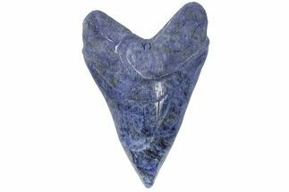Realistic, Carved Sodalite Megalodon Tooth - Replica #202084