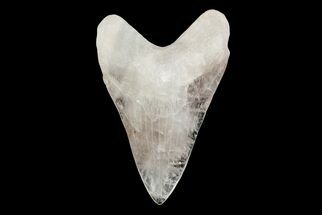 Realistic, Carved Smoky Quartz Megalodon Tooth - Replica #202110