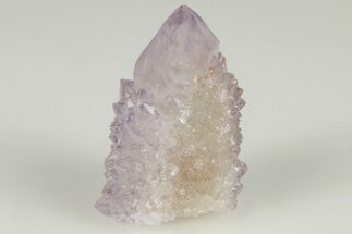 Cactus Quartz (Amethyst) Crystal- South Africa #201689