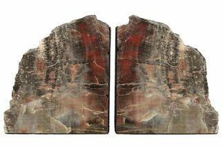 6.7" Tall, Arizona Petrified Wood Bookends - Fossil #202300