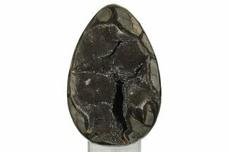 Septarian Dragon Egg Geode - Black Crystals #202556