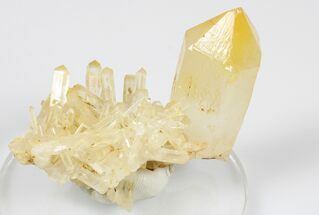2.3" Mango Quartz Crystal Cluster - Cabiche, Colombia - Crystal #188355