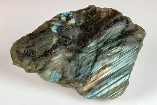 3.3" Single Side Polished Labradorite - Madagascar - Crystal #202669