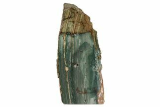 6.8" Gary Green Jasper (Larsonite) Bog Wood Stand Up - Oregon - Fossil #194159