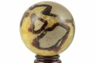 Polished Septarian Sphere - Madagascar #203653