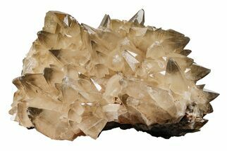 Beam Calcite Crystal Cluster with Phantoms - Morocco #203374