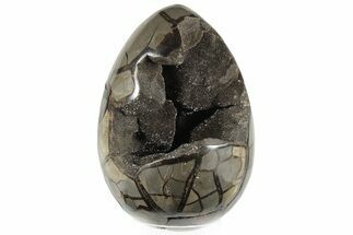 9.8" Septarian "Dragon Egg" Geode - Madagascar - Crystal #203812