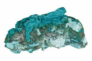 2.9" Botryoidal Teal Chrysocolla Formation - DR Congo - Crystal #204935