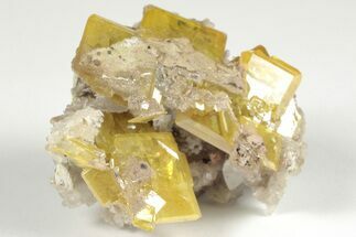 1.85" Lustrous, Yellow-Orange Wulfenite - La Morita Mine, Mexico - Crystal #205009