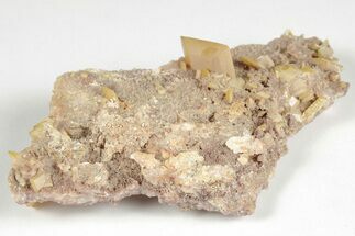 Lustrous, Orange Wulfenite Crystals - La Morita Mine, Mexico #205014