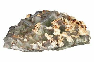 Purple Edge Fluorite Crystal Cluster - Qinglong Mine, China #205216