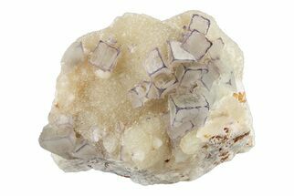 Purple Edge Fluorite Crystal Cluster - Qinglong Mine, China #205298