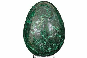 Bicoastal and Malachite 28.5 新品未使用 2.85