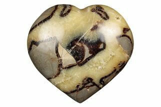 Polished Septarian Heart - Madagascar #205192