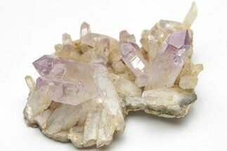Amethyst Crystal Cluster - Las Vigas, Mexico #204640