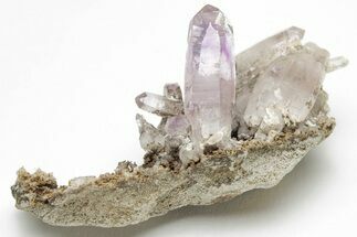 Amethyst Crystal Cluster - Las Vigas, Mexico #204645
