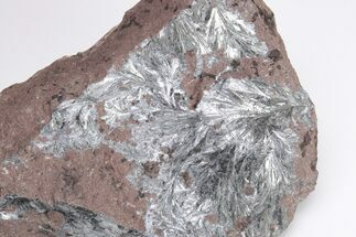 Metallic, Needle-Like Pyrolusite Crystals - Morocco #204359