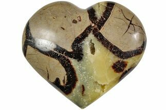 Polished Septarian Heart - Madagascar #205356