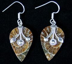 Ammonite Fossil Earrings - Sterling Silver #12777